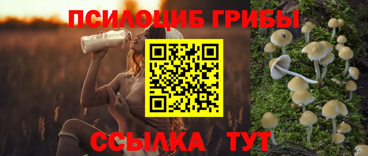 Электросталь  Галлюциногенные грибы мухоморы  Вход с VPN 
